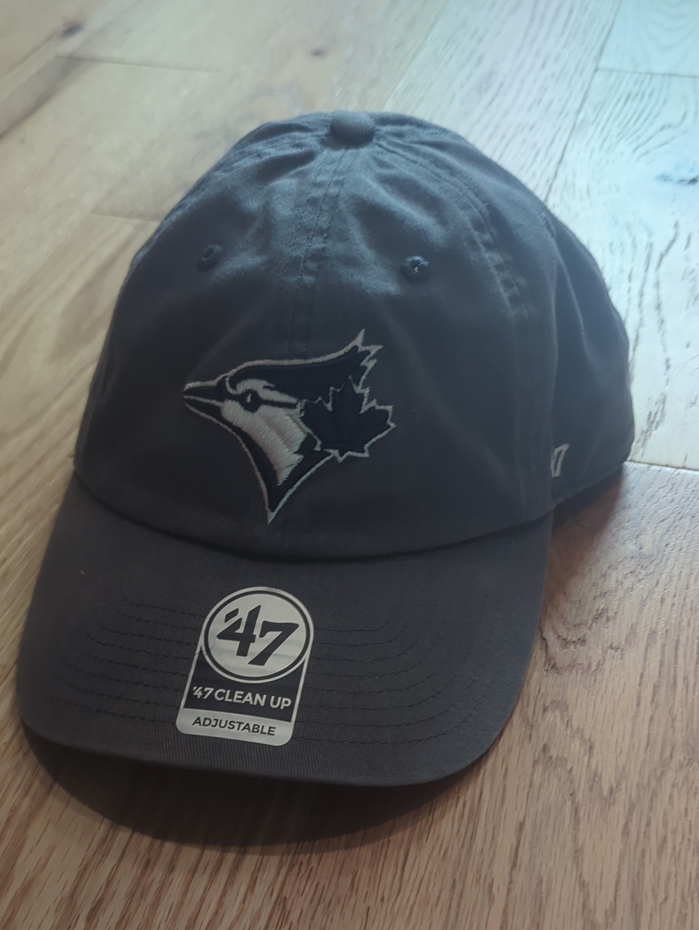 47. Gray Toronto Blue Jays Embroidered Logo Cap. Strap Adjustable. Youth Sized.
